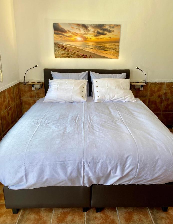 B&B Casa Azul Crevillente Exteriör bild